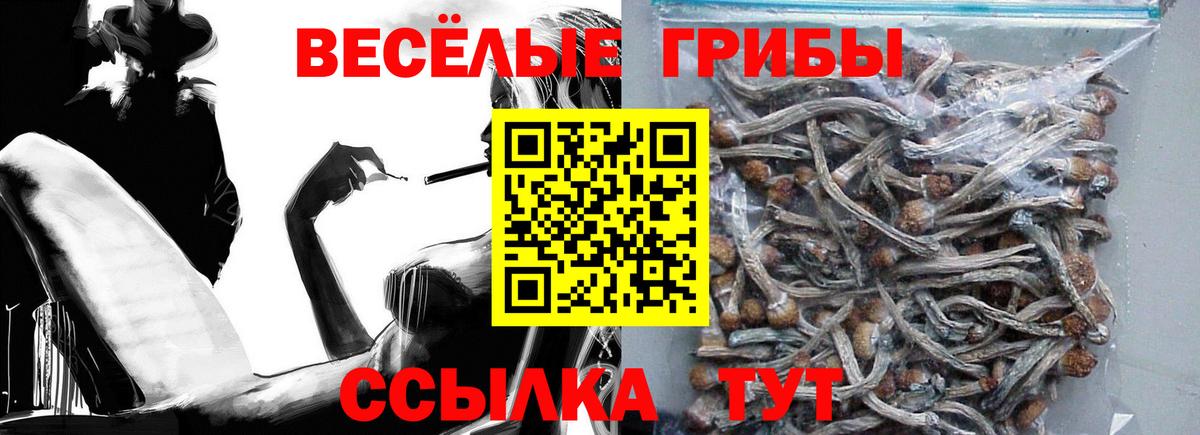Галлюциногенные грибы прущие грибы  Вход с VPN  Тобольск 