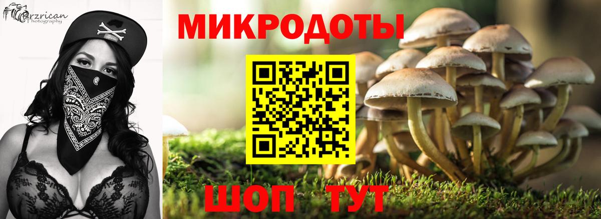 Псилоцибиновые грибы прущие грибы Тобольск